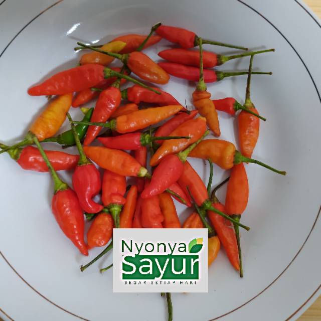 

Cabe/Cabai Rawit Merah