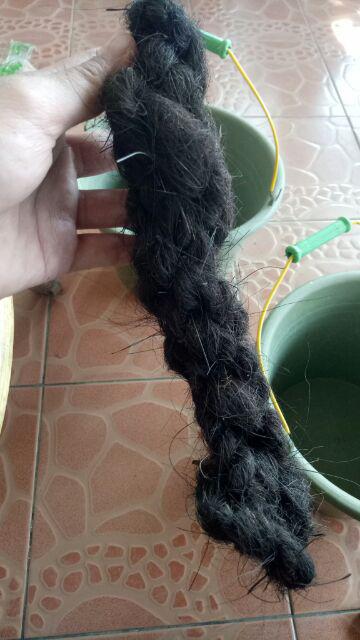 Tali Ijuk Pengikat Anggrek Bambu Gazebo Per Ikat