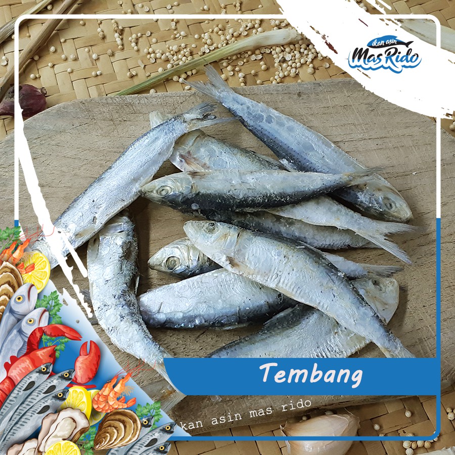 

IKAN ASIN TEMBANG KWALITAS SUPER HARGA TERBAIK