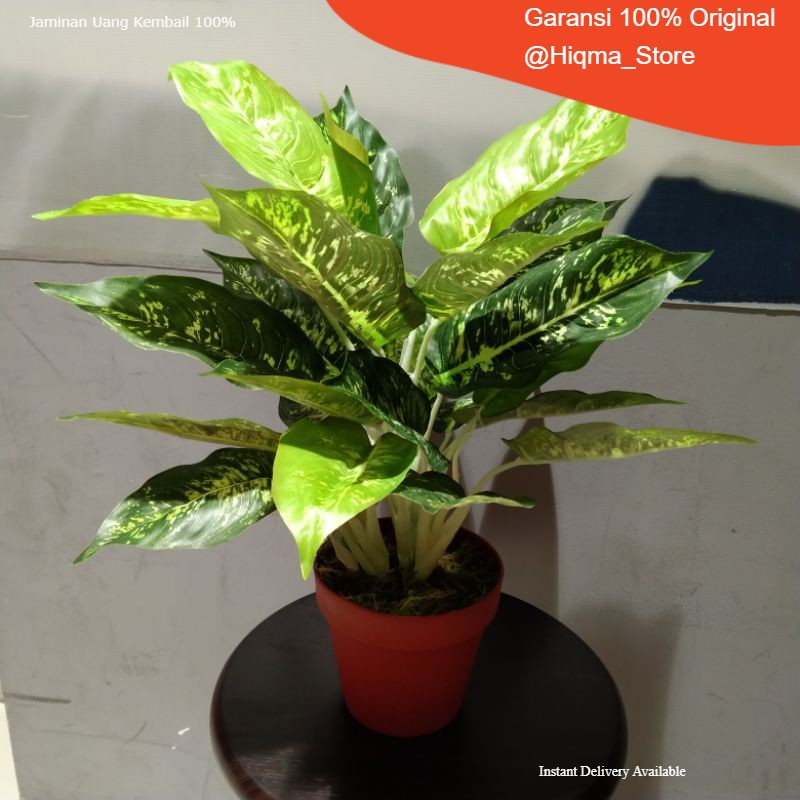 Tanaman Plastik / Bunga Plastik /Artifisial Dieffenbachia / Tanaman / Bunga / Taman