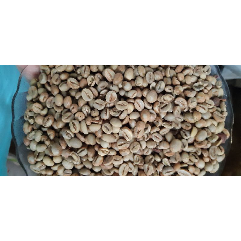 

greenbeans kopi robusta asalan jember