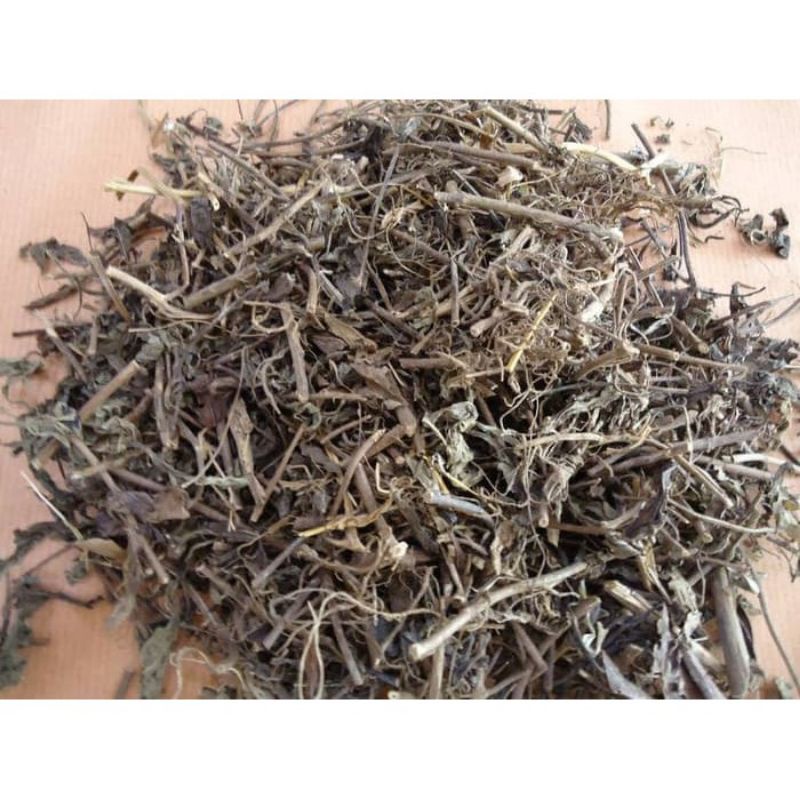 

Daun kumis kucing kering 50gr/termurah/herbal