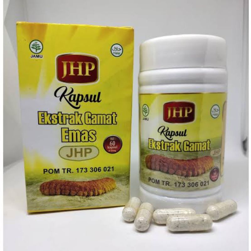 Kapsul Ekstrak Gamat Emas JHP