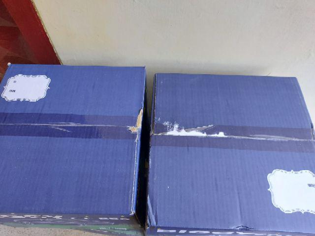 Toples Biggy Ct250/toples Kue/12pcs