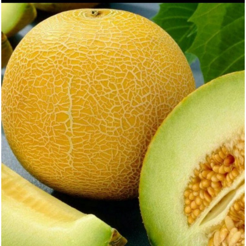

MELON MADU MANIS FRESH ( HARGA 1 BUAH ) 1.5 KG