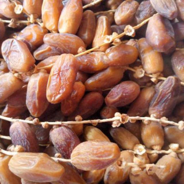 

1kg kurma tunisia