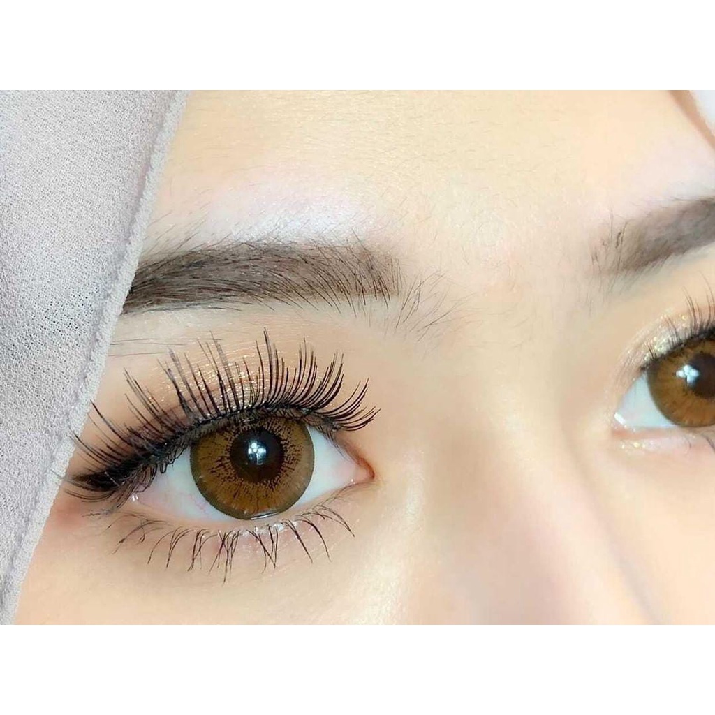 SOFTLENS LOVE LAYLA BROWN / KONTAK LENSA