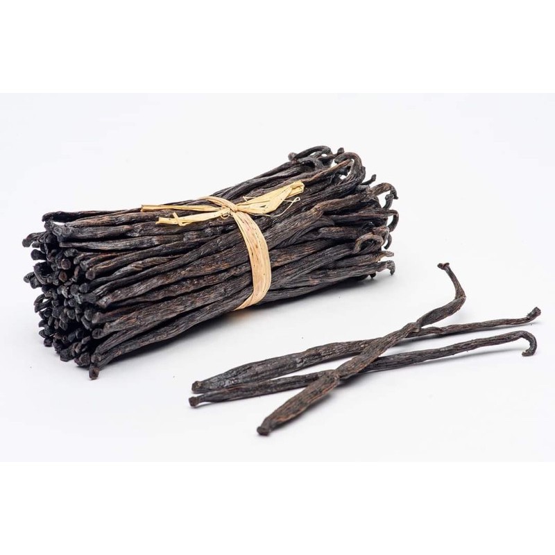 

termurah! vanilla stick gourmet grade A