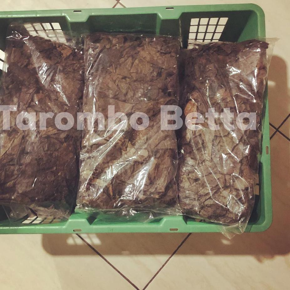 

WD8 Barang Ekspor Daun Ketapang Laut Fermentasi Olahan Isi Bersih 100 Gram 100gram Berat Bersih 100g