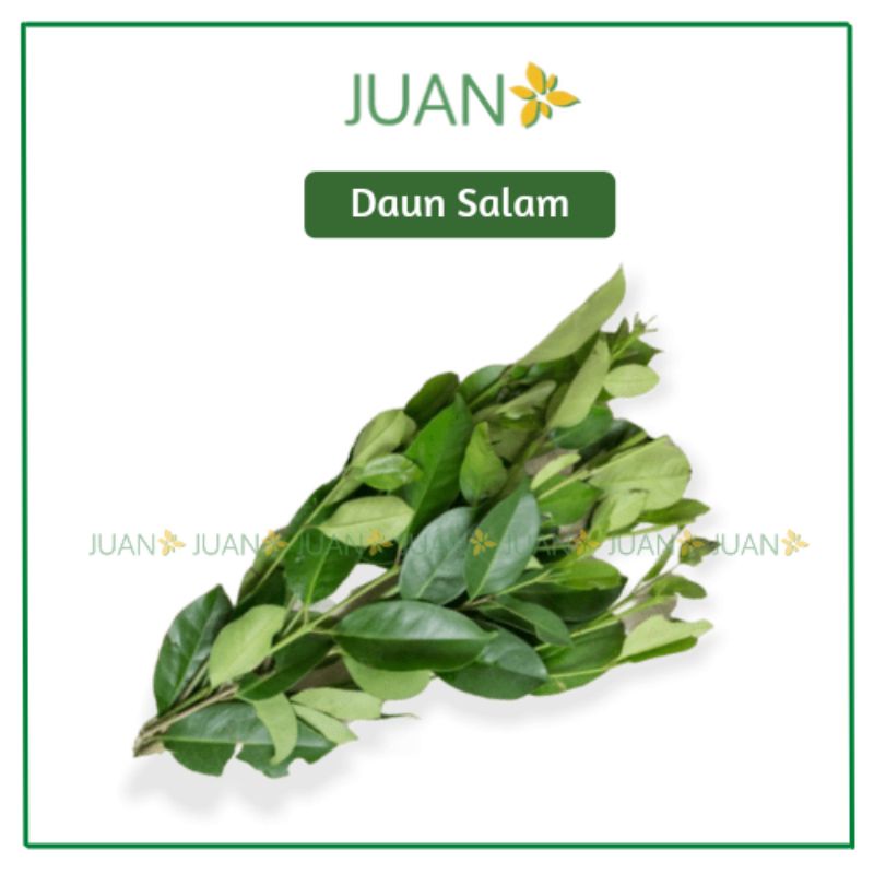 

Daun Salam 1 Ikat - Juan Freshmart