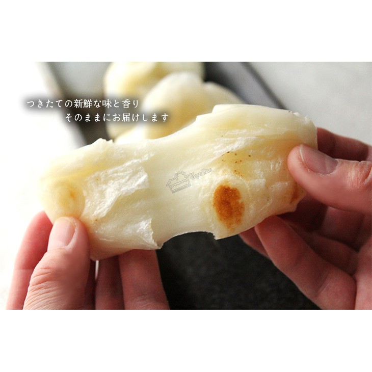 

Piscoklegit_ Daishin Tsukitate Nama Kirimochi (Mochi Jepang) 1 Kg [Limited Ed]