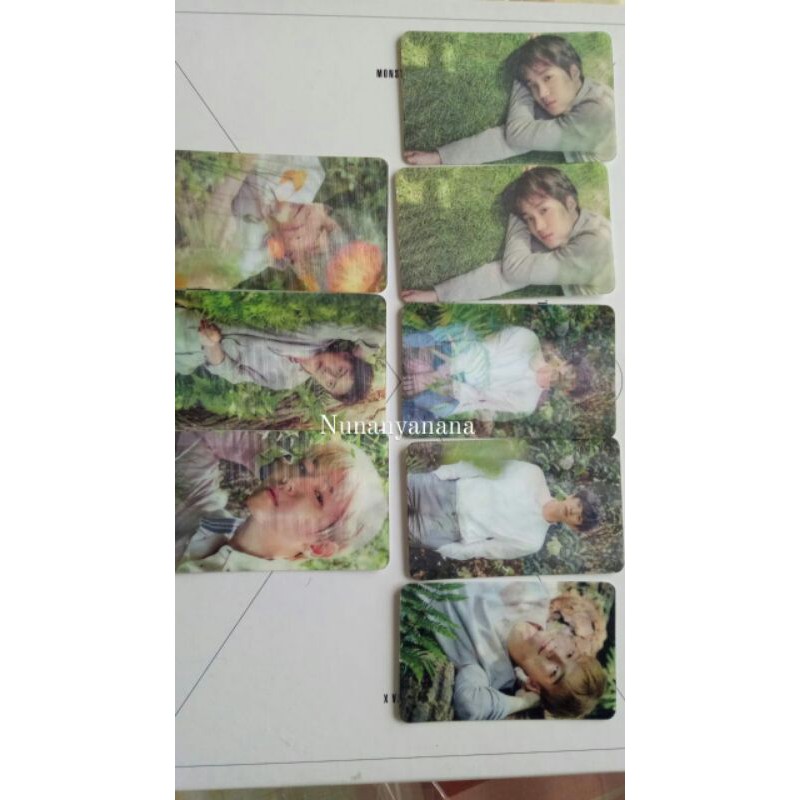 PC Nature Republic EXO
