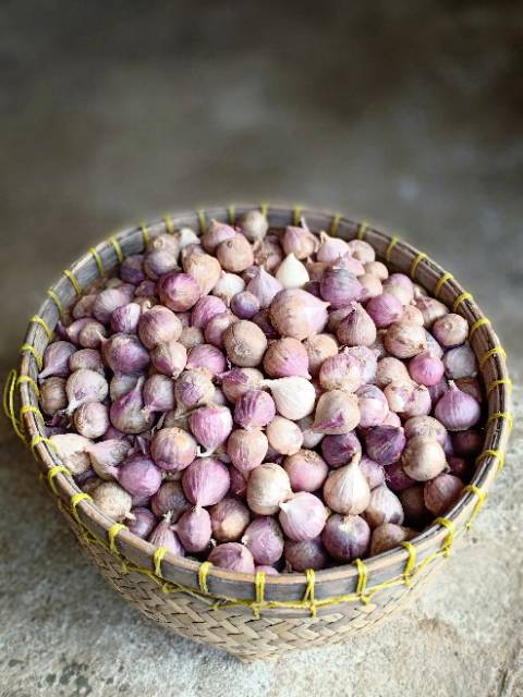 

Bawang Putih Tunggal / Bawang Lanang Herbal Premium