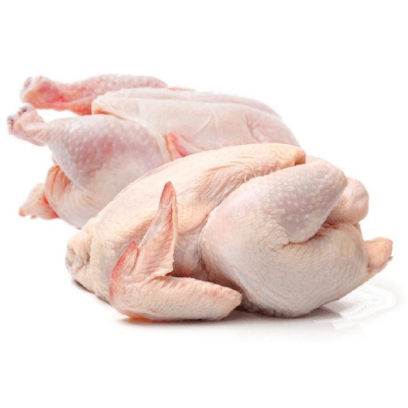 

AYAM KARAKAS 1 EKOR