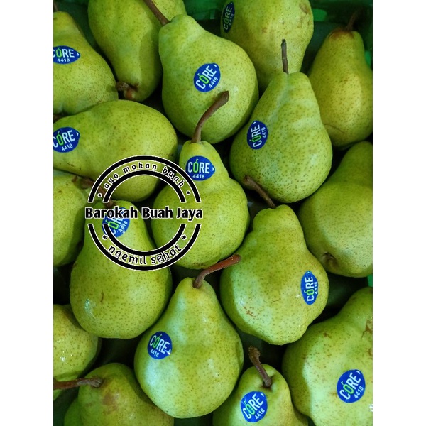 

PEAR HIJAU/PACKAM 1KG