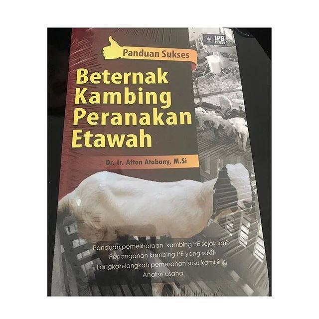 Beternak Kambing Peranakan Etawah