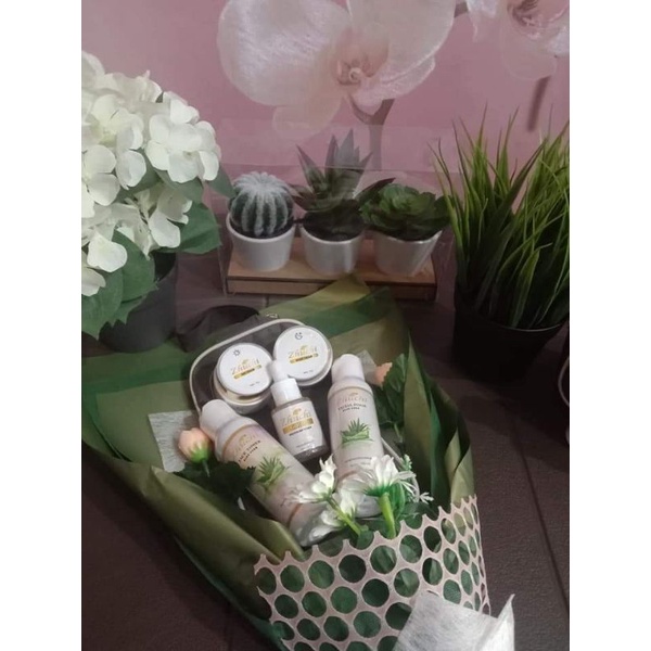 Rahasia kulit glowing & awet muda dengan ZHUCHI SKINCARE! ✨ yang berfungsi untuk :✔️ Anti aging ⠀⠀⠀⠀