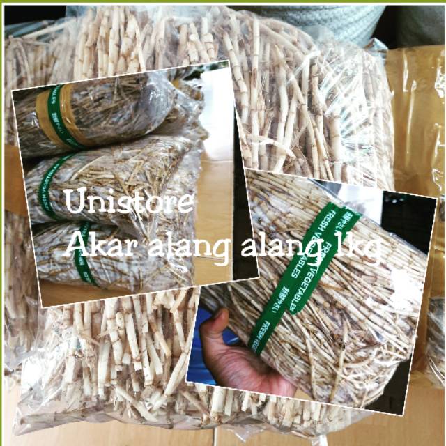 

Akar alang alang fresh 1kg bersih dan murah