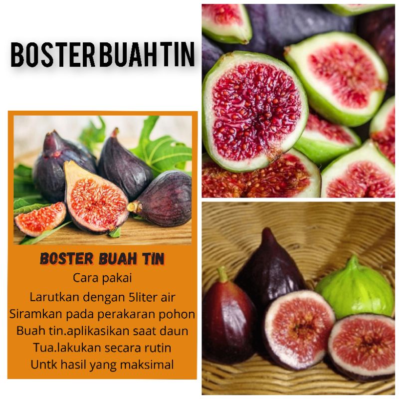 BOSTER BUAH TIN BOOSTER BUAH TIN PUPUK BUAH TIN