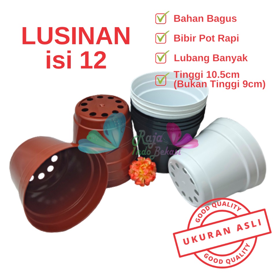 LUSINAN 12PCS Pot 12 Cm Putih Hitam Merah Bata Merah Coklat Terracota Terracotta - Pot 12 Hitam Kecil Mini Minimalis Plastik Kaktus Sukulen Mini Murah Pot Bibit Pembibitan