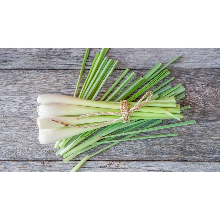 

Sereh Bumbu Masak/250gr