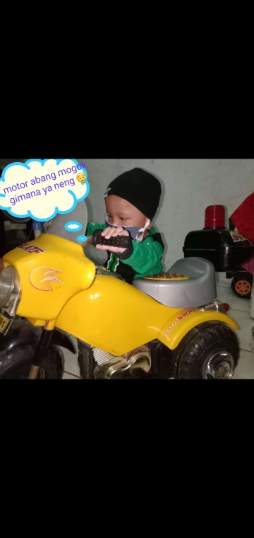 Lion Star Folding Hanger / Gantungan Baju Bayi