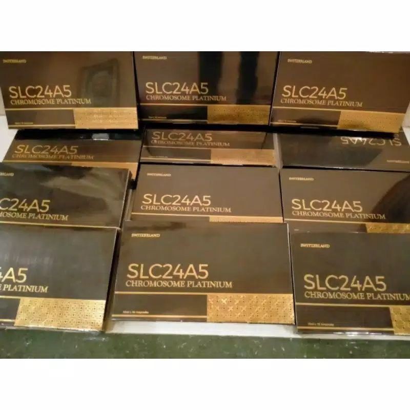 SLC24A5 chromosome platinum original