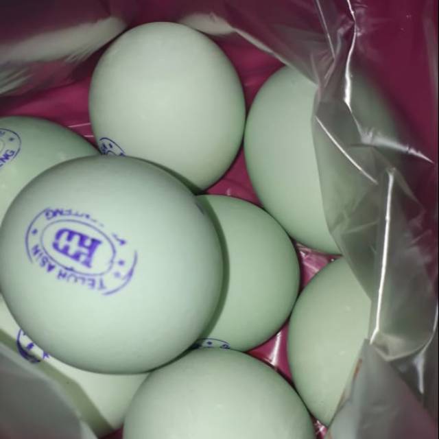 

Telor asin