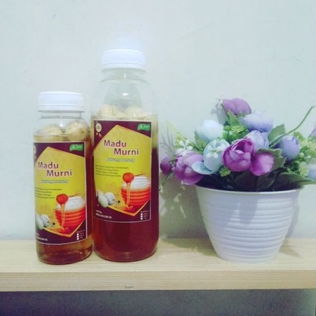 

Al Jauhar Madu Bawang Tunggal (Lanang) 600gr Madu Kesehatan Madu Murni Raw Honey Madu Alami Madu Original Madu Asli Madu Mentah Honey Bee Pure Honey 100% Madu Original Madu Alami Madu Asli Madu Murah