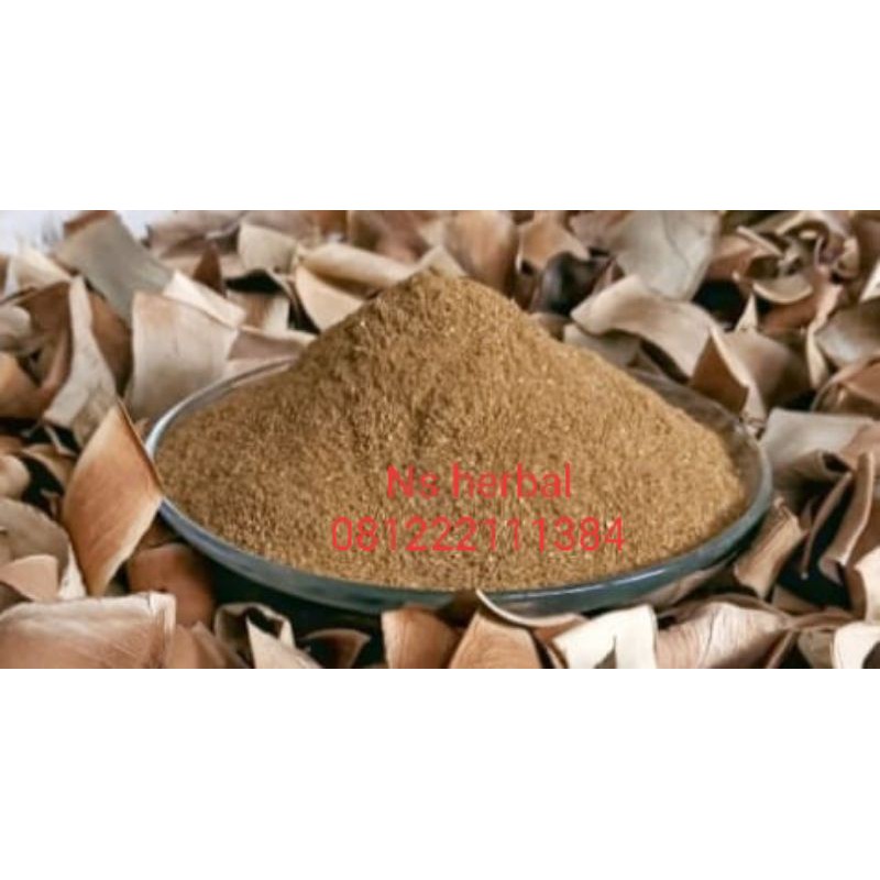 bubuk daun karet kebo kering / herbal / obat stroke / rematik / lambung 50gram