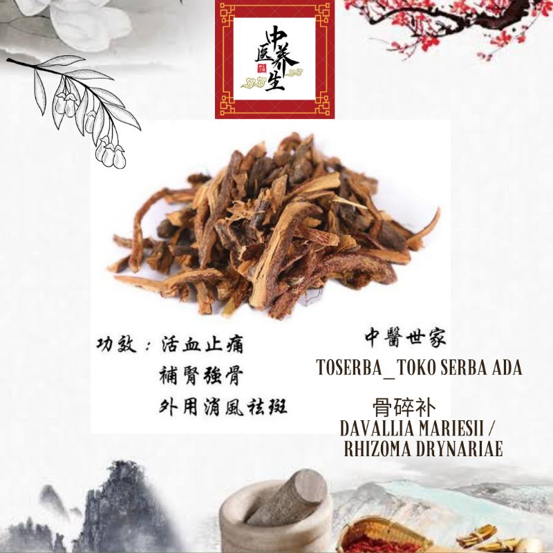 

100gr Herbal Gu Sui Bu 骨碎补 Drynariae Rhizoma / Fortune's Drynaria Rhizome / Davallia Mariesii