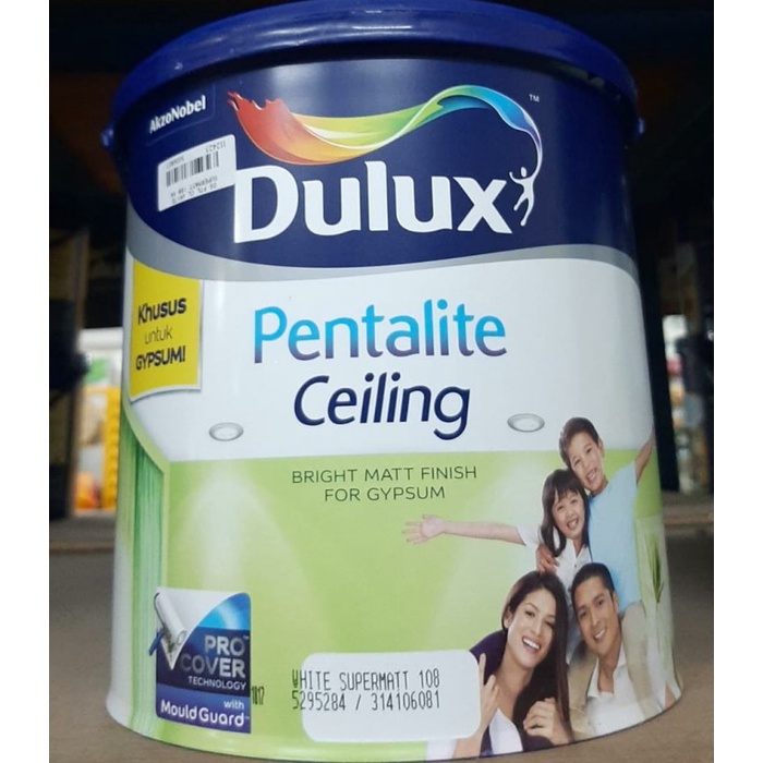CAT DULUX PENTALITE CEILING 5KG