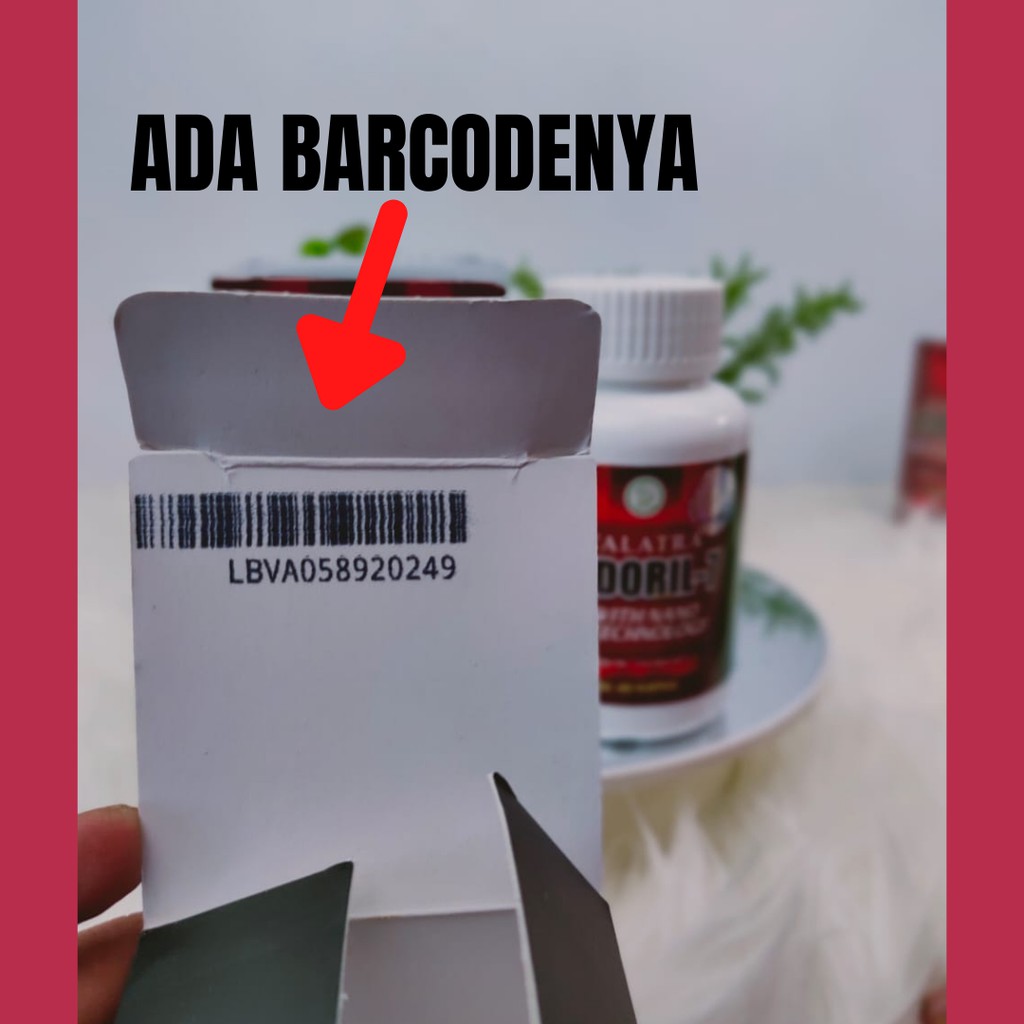 [ ORIGINAL ] Obat Herbal Zedoril 7 | Walatra Zedoril 7 | Herbal Kanker, Tumor Dan Benjolan 60 Kapsul-1