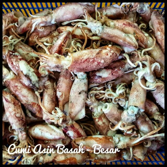 

CUMI ASIN BASAH - BESAR