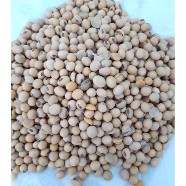 

Kacang Kedelai / Kedele 250 g