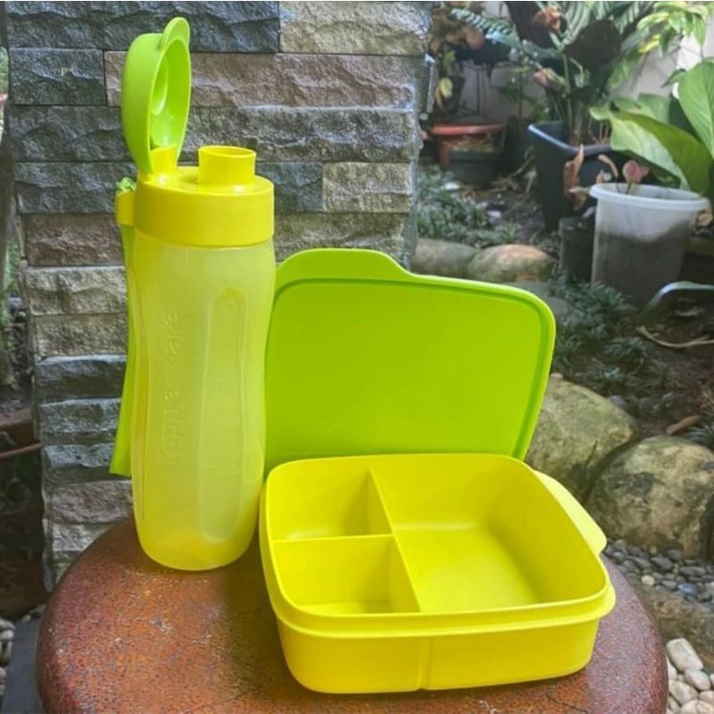 Tempat Makan Minum Anak Tupperware