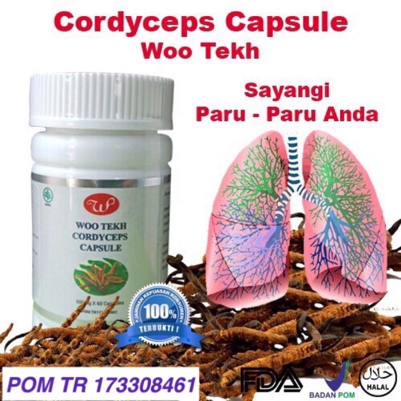 Cordyceps Kapsul wootekh