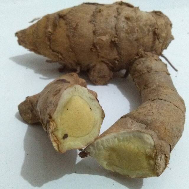 

Temu Ireng / Curcuma 1 kg