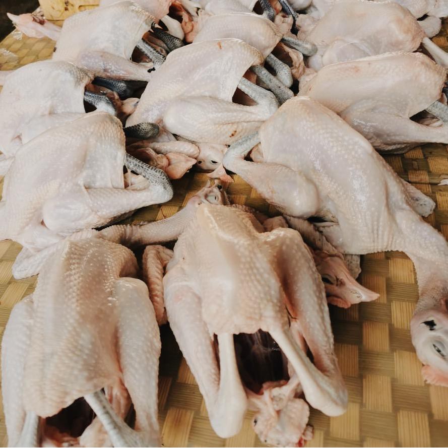 

Ayam Kampung Fresh 1 kg