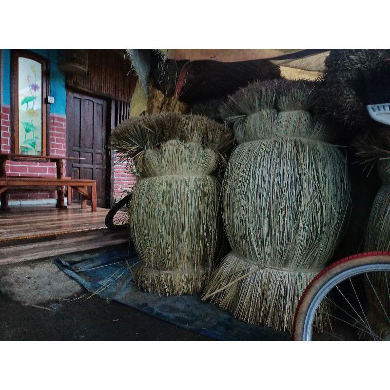 rumput mendong tanaman purun bahan kerajinan bahan dasar tali mendong