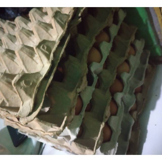 

Telur ayam negri