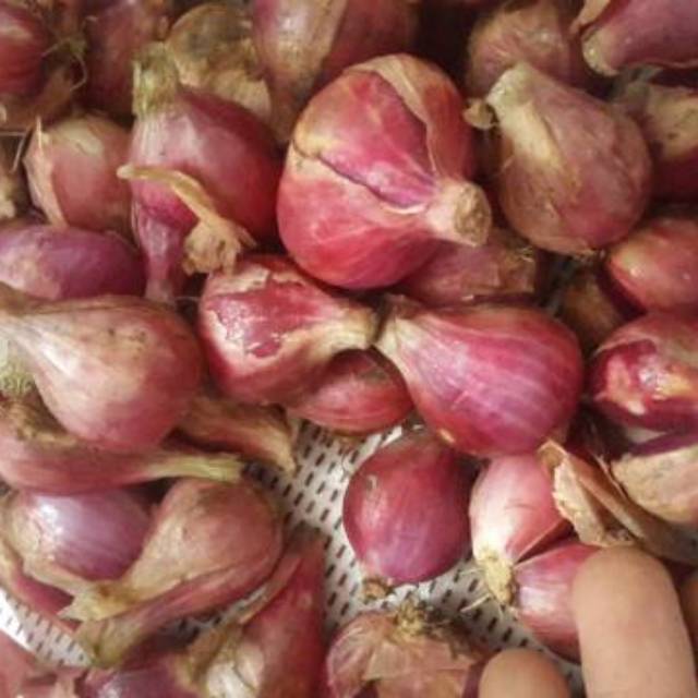 

Bawang Merah 1 Kg Murah Banget (By D'Groceries)