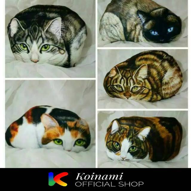 BANTAL KUCING