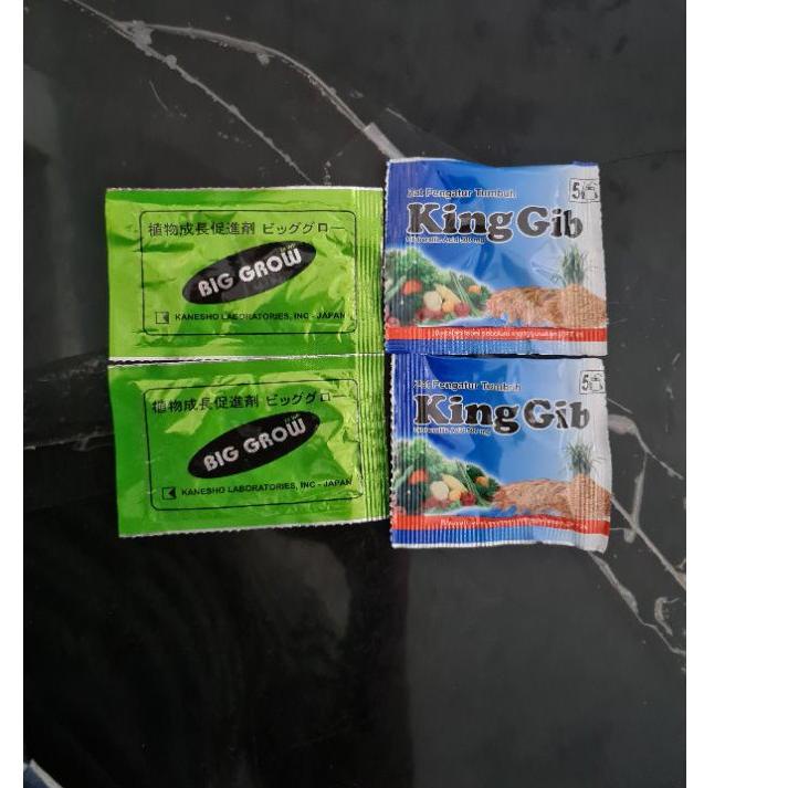 Grosir Paket BIG GROW BIGGROW dan KINGGIB KING GIB PEMBESAR BUAH NAGA Terbaik/(TERBARU)/[Terlaris To
