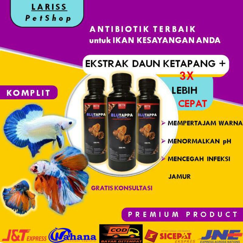 Ekstrak Daun Ketapang Kering Laut Untuk Ikan Cupang Guppy Blue Rim Sepasang Multicolor 250 ml