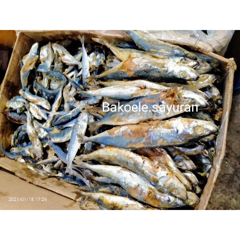 

IKAN KLOTOK 250 Gram FRESH