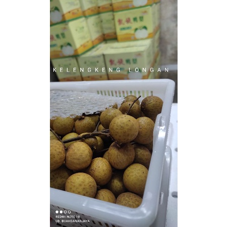 

Buah import kelengkeng longan
