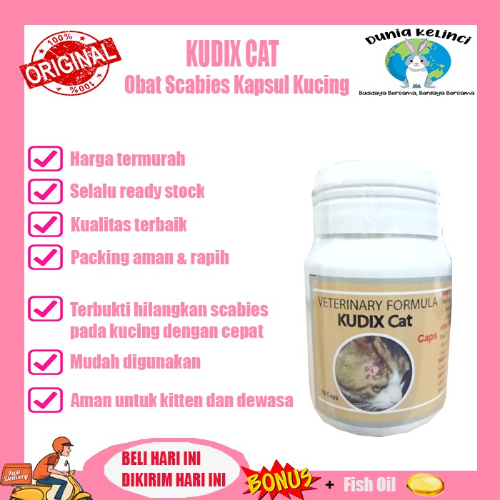 OBAT SCABIES KUCING KAPSUL KUDIX CAT GUDIG GUDIK EKSIM KORENG GATAL