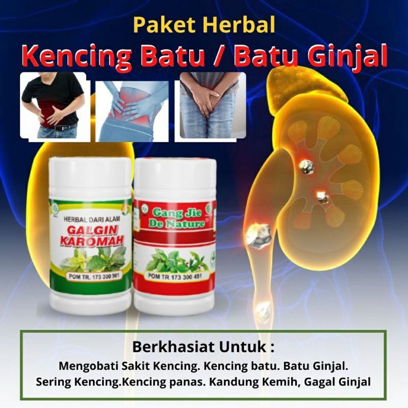 DE NATURE Obat Herbal Ginjal, Batu Ginjal, Kencing Batu Mengobati Masalah Ginjal