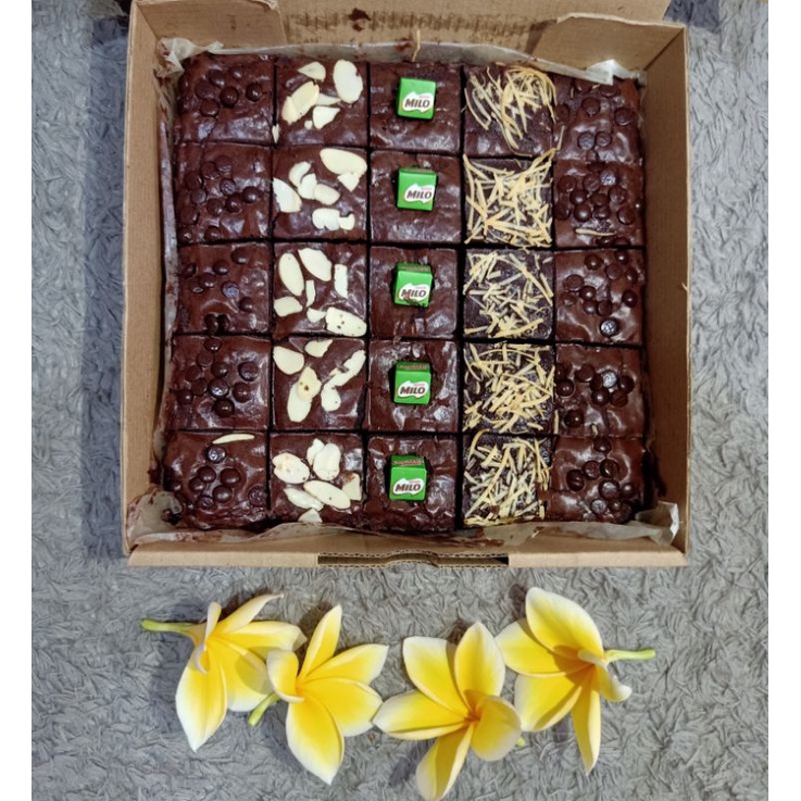 

Fudgy Brownies 20×20